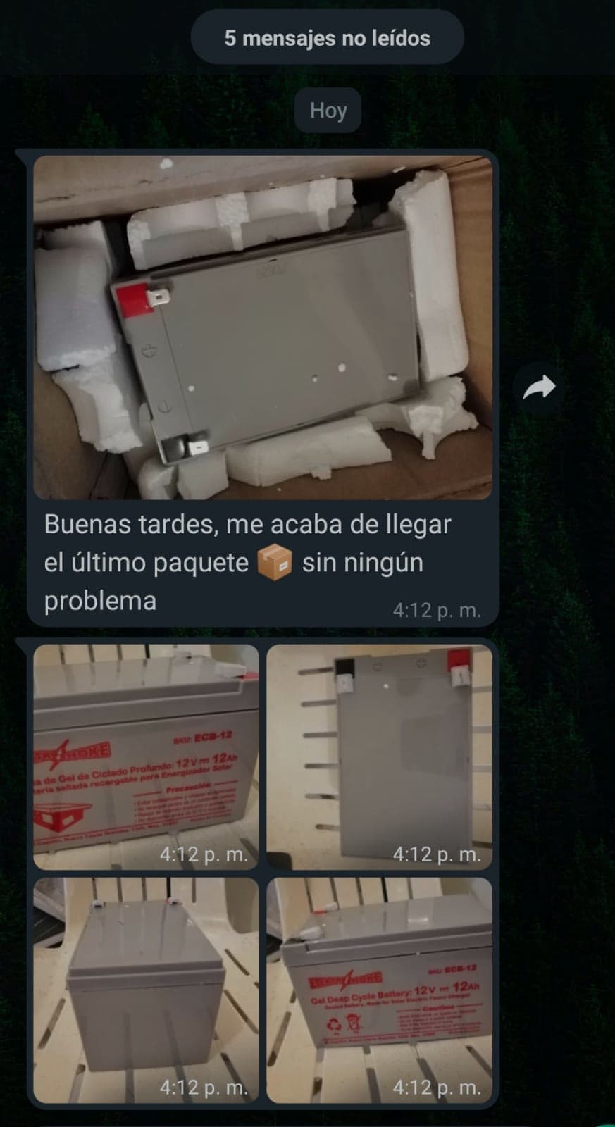 Entrega o instalación compartida 19 de equipo ElektroChoke
